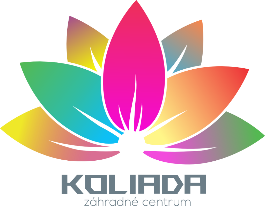 logo Koliada