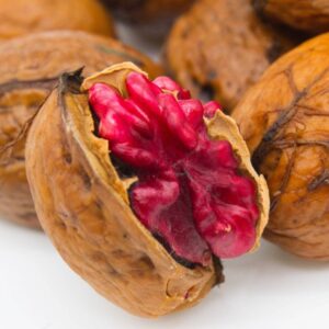 Juglans regia sychrov kv