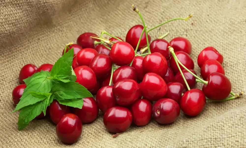 Višne